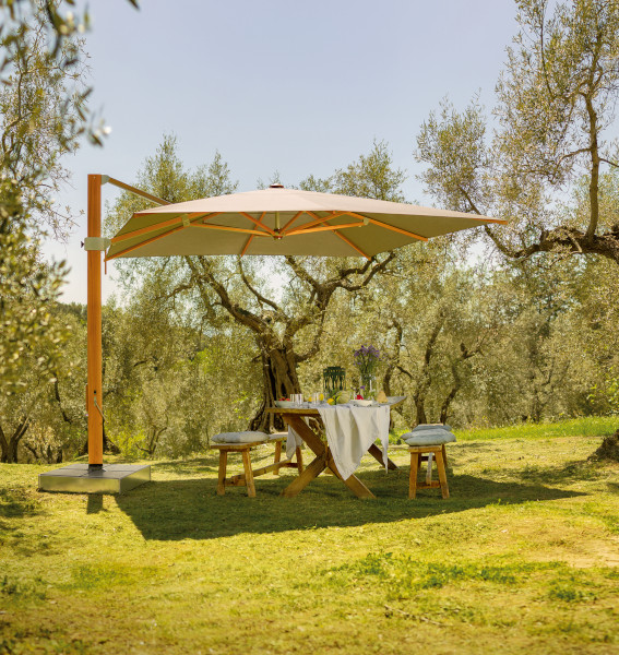 Slider 2 Aura Schirm.jpg